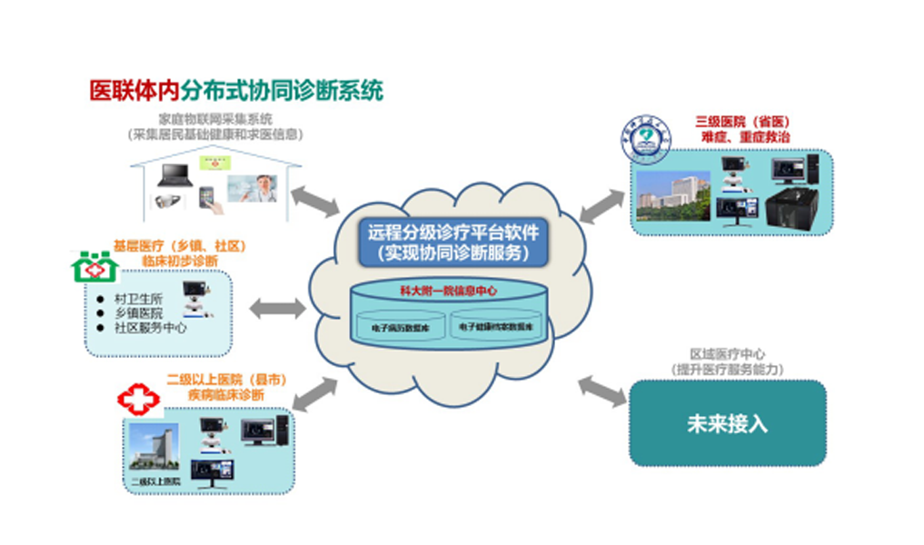 示范图片